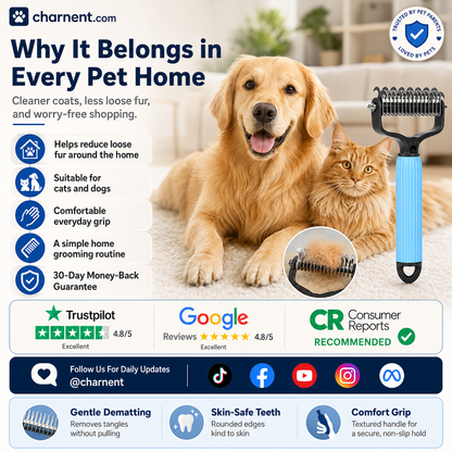 🐱🐕‍🦺🔥 2+1 ΔΩΡΕΑΝ 🎁✨Βούρτσα περιποίησης κατοικίδιων με δύο πλευρές