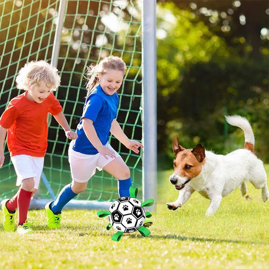 🐕Zabawka do piłki nożnej dla psa⚽