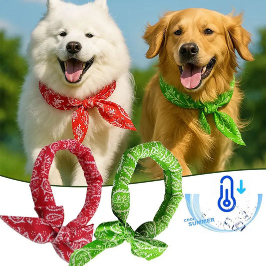🐶🐱49% ΕΚΠΤΩΣΗ!!✨❄️Καλοκαιρινό δροσιστικό περιλαίμιο για κατοικίδια